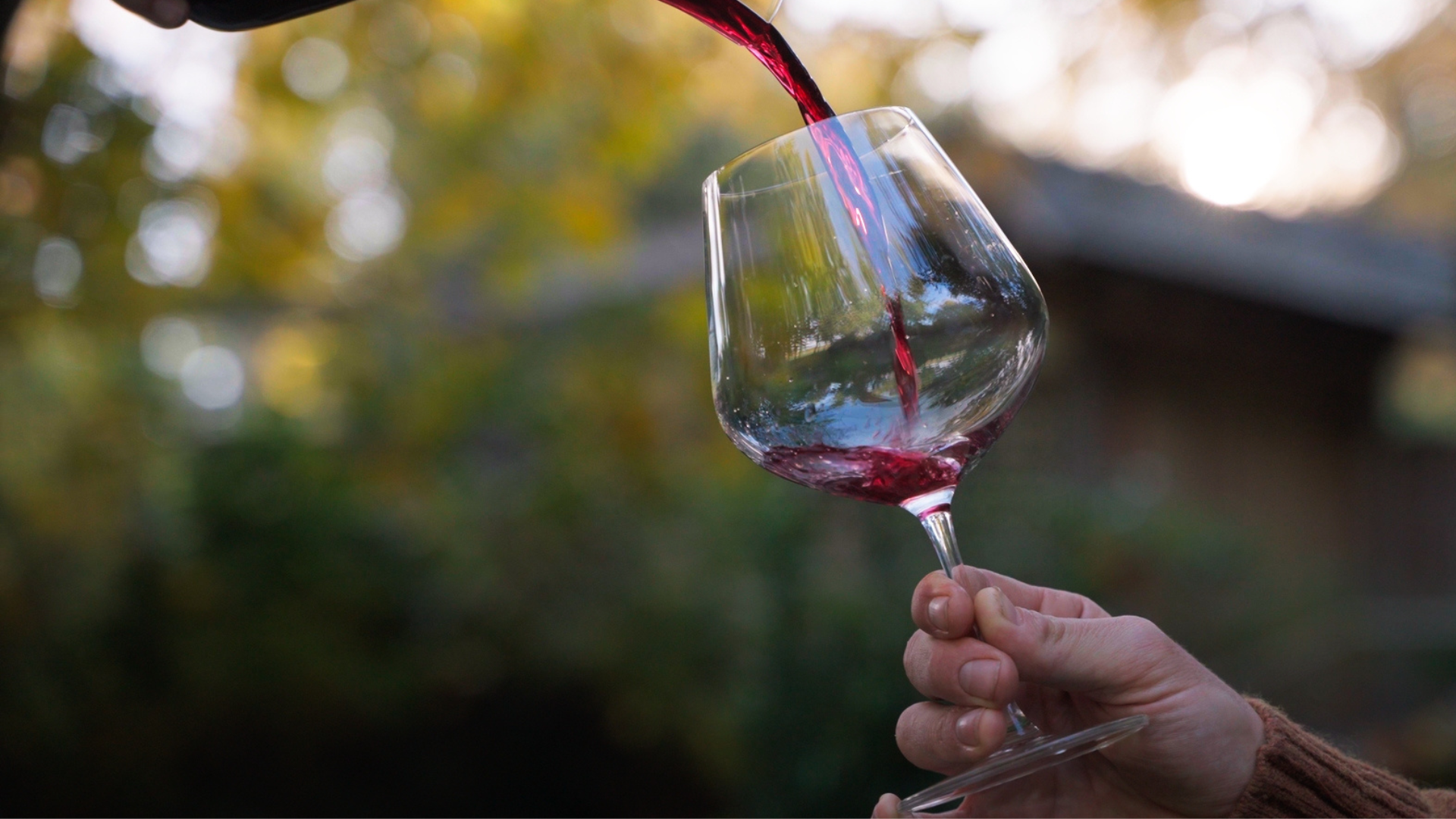 Local Wines, Crushing Grapes